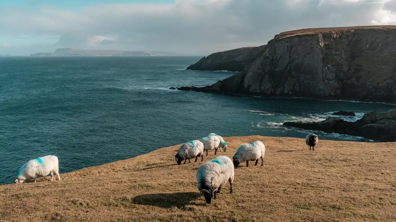 Irish Vs. Scottish Gaelic: What Are The Main Differences?